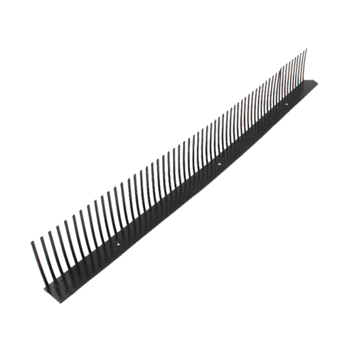 bird comb